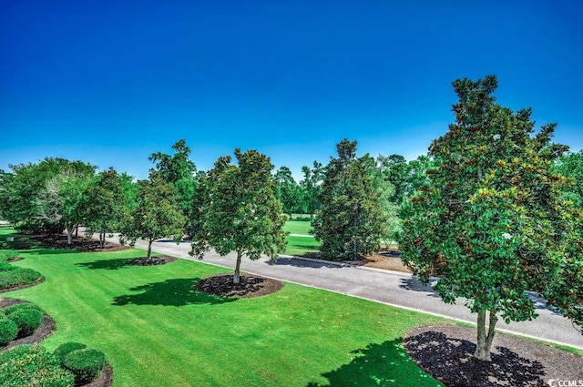 view of home's community featuring a yard