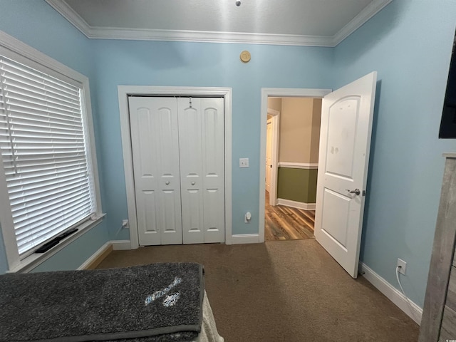 389 Cabo Loop, Myrtle Beach, SC 29588 - bedroom with ornamental molding, carpet, baseboards, and a closet