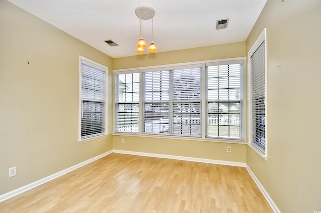 empty room featuring a wealth of natural light and light hardwood / wood-style floors