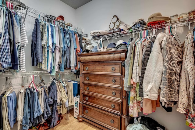 spacious closet featuring wood-type flooring