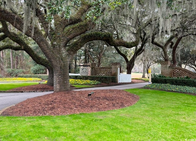 view of community featuring a yard