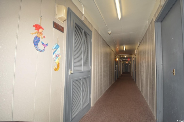 hallway featuring wooden walls and carpet floors