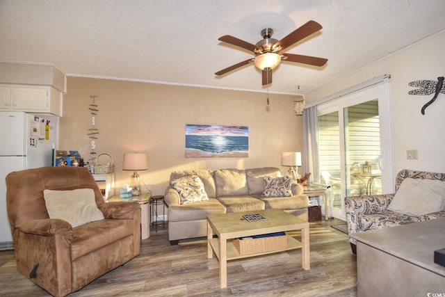 living room featuring hardwood / wood-style flooring, a textured ceiling, ceiling fan, and ornamental molding