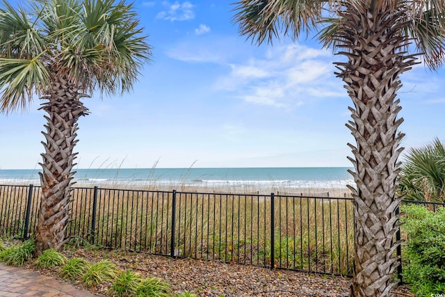 water view featuring a beach view