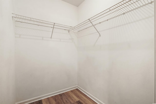 spacious closet featuring hardwood / wood-style flooring