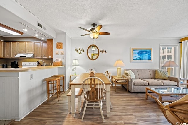 dining room featuring sink, a textured ceiling, hardwood / wood-style floors, and ceiling fan