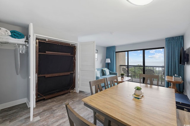 dining space featuring hardwood / wood-style floors