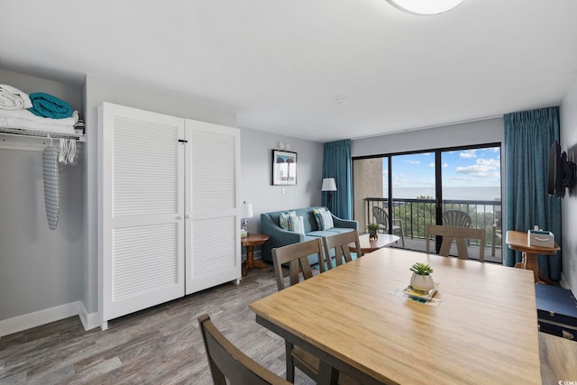 dining room featuring wood-type flooring