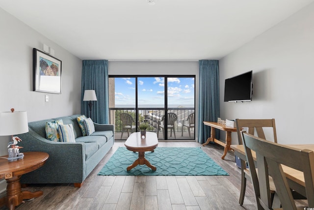 living room featuring hardwood / wood-style floors