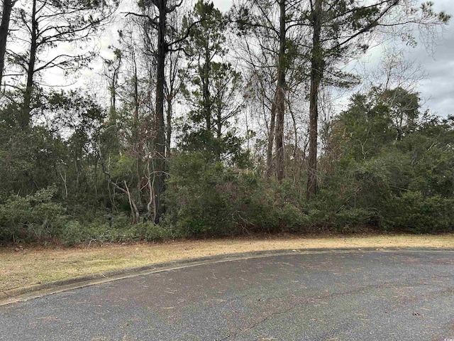 LOT4 Josie Way, Georgetown, SC 29440