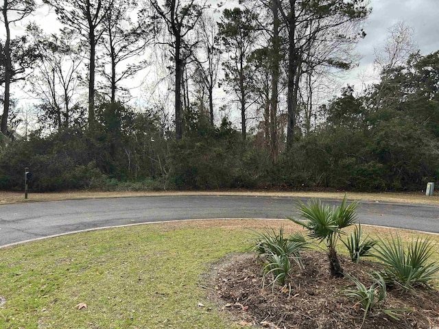 LOT4 Josie Way, Georgetown, SC 29440