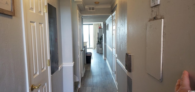 hallway featuring dark hardwood / wood-style flooring and crown molding