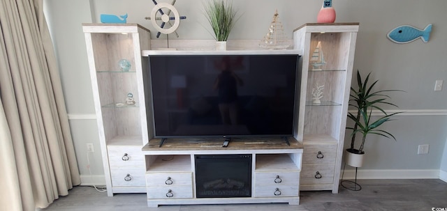 room details with hardwood / wood-style flooring