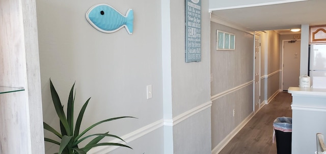 corridor featuring crown molding and dark hardwood / wood-style floors