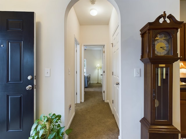 corridor featuring carpet flooring