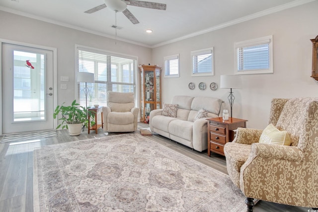 living room featuring ceiling fan, ornamental molding, and light hardwood / wood-style floors