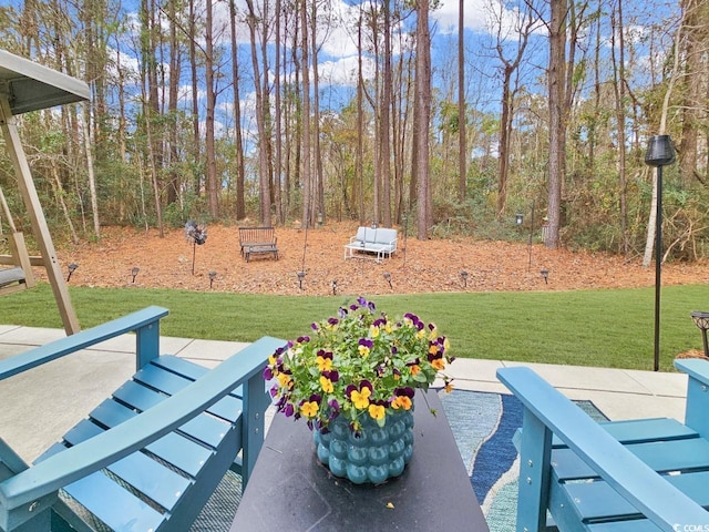 view of yard with a patio