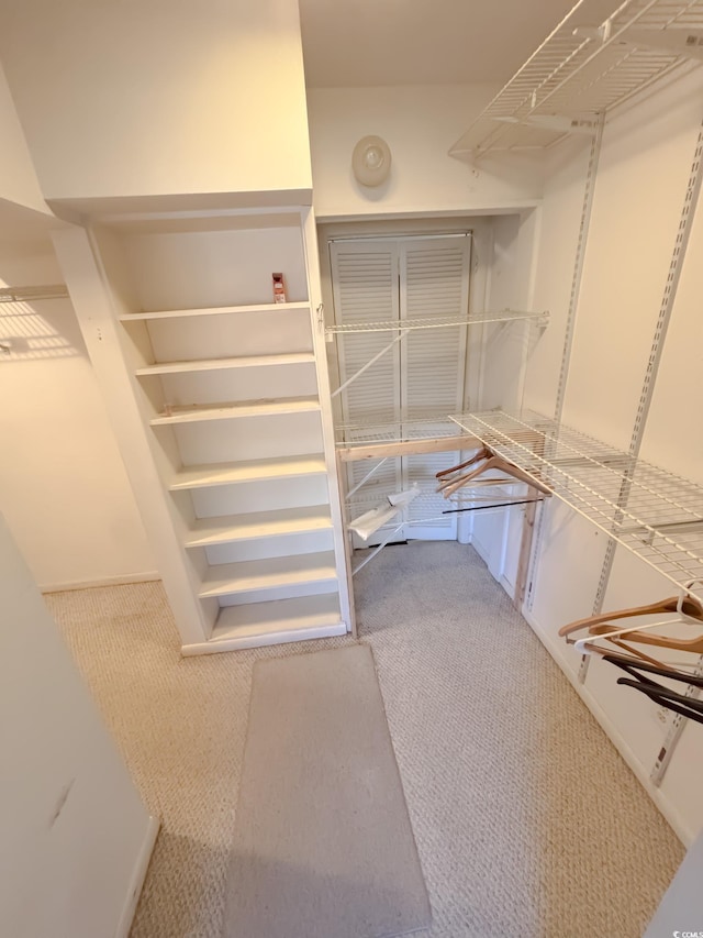 walk in closet with carpet flooring