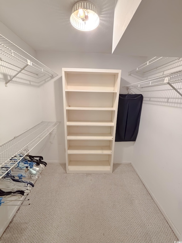 spacious closet with carpet
