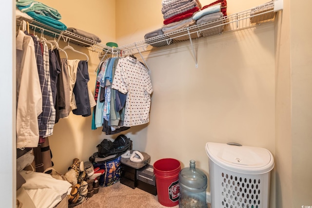 spacious closet featuring carpet