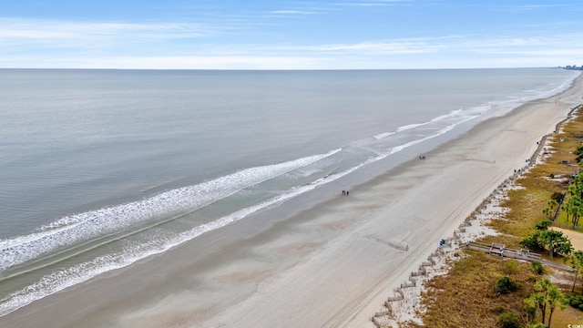 view of water feature featuring a beach view