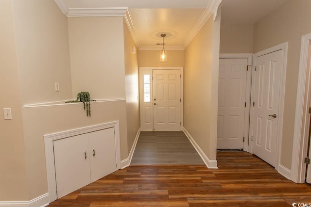 entrance foyer featuring crown molding and dark hardwood / wood-style floors