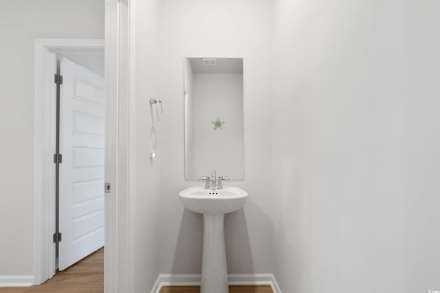 bathroom featuring wood-type flooring