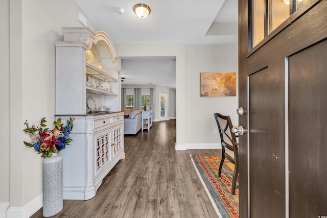 foyer with hardwood / wood-style floors