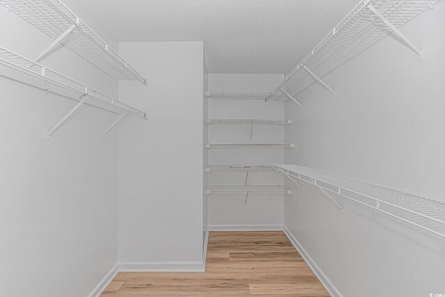 spacious closet featuring wood-type flooring