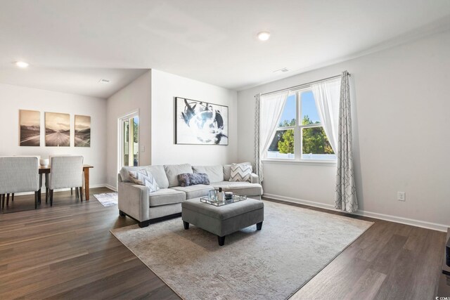 living room featuring dark wood-type flooring