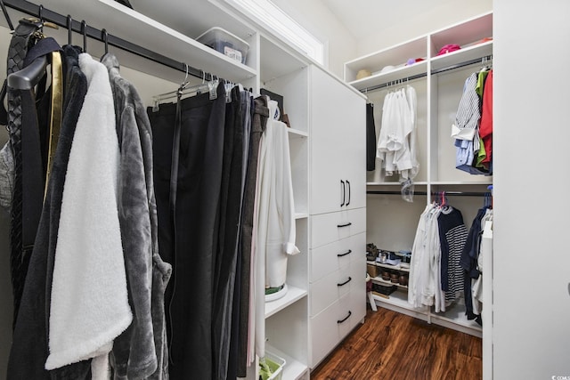 walk in closet with dark hardwood / wood-style floors