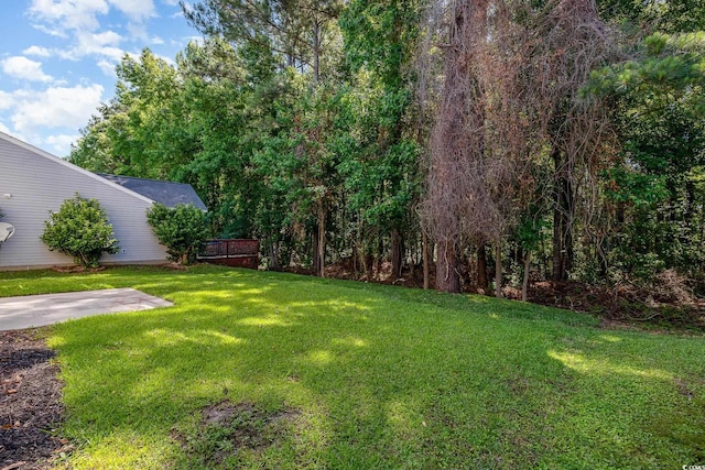 view of yard with a patio area