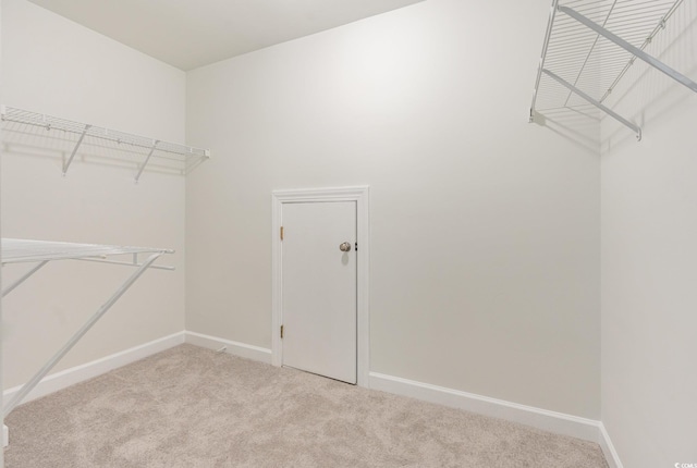 spacious closet with light carpet