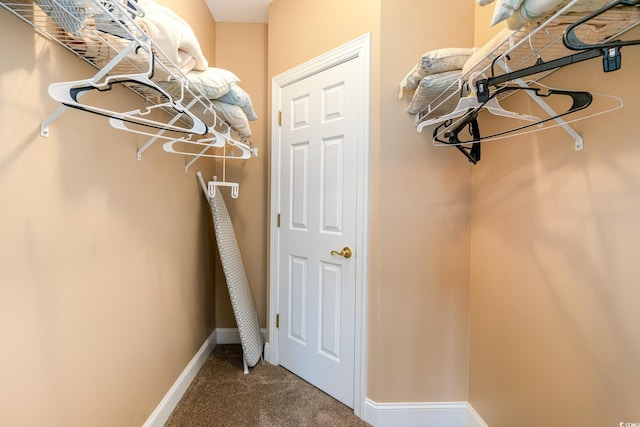 spacious closet featuring carpet floors