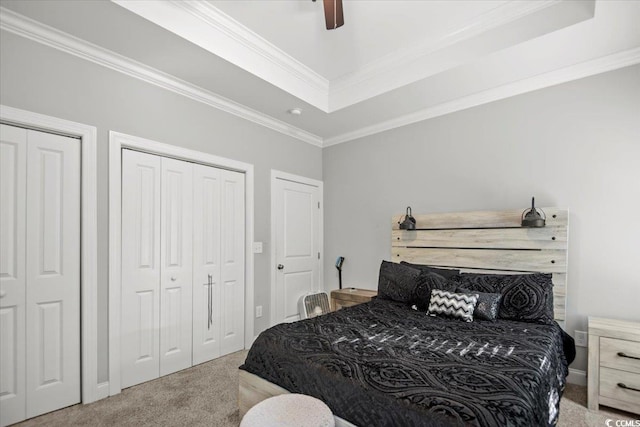 bedroom with multiple closets, ceiling fan, a tray ceiling, carpet flooring, and crown molding