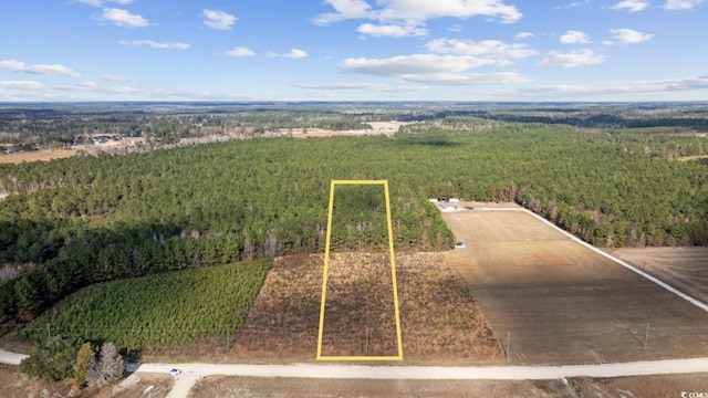 LOT2 W G Rd, Conway SC, 29526 land for sale