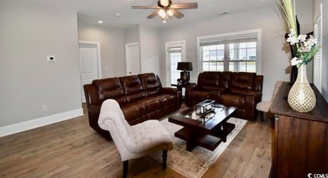 living room with ceiling fan and wood-type flooring