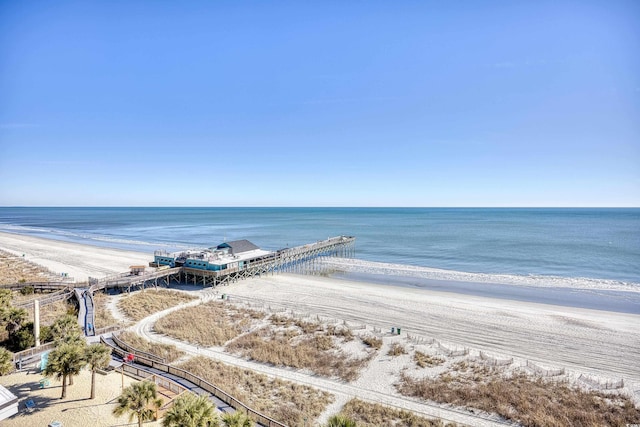 water view featuring a beach view