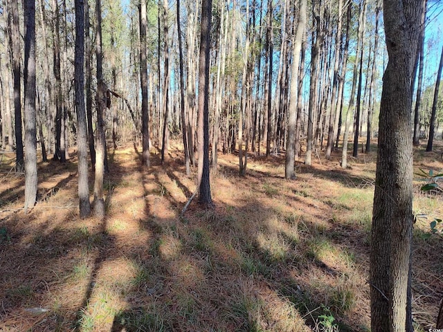 TBD County Line Rd, Andrews SC, 29510 land for sale