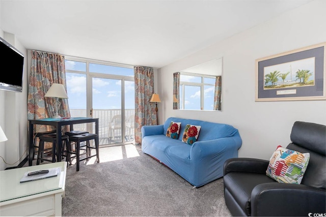 living room with carpet floors and expansive windows