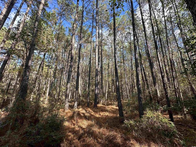 26ACRES-TBD Puncheon Creek Dr, Andrews SC, 29510 land for sale