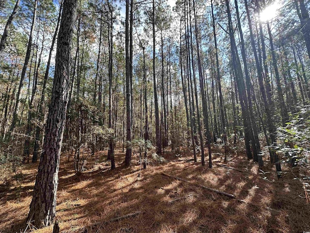 Listing photo 2 for 26ACRES-TBD Puncheon Creek Dr, Andrews SC 29510