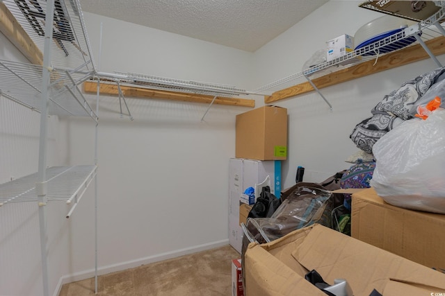 spacious closet with light colored carpet