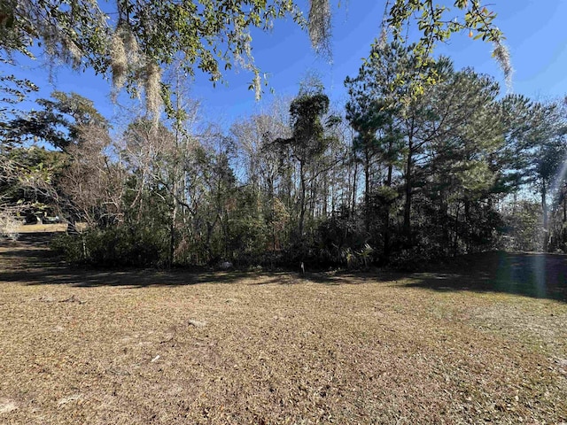 437 Rosebank Rd, Georgetown SC, 29440 land for sale