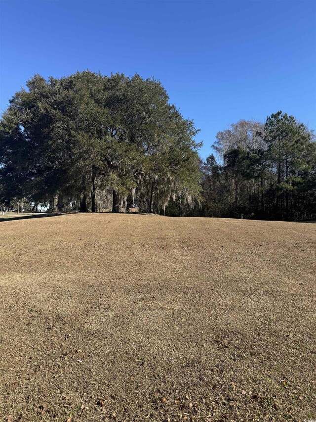 437 Rosebank Rd, Georgetown, SC 29440 - photo 4