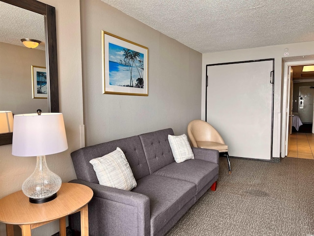 living room with carpet and a textured ceiling