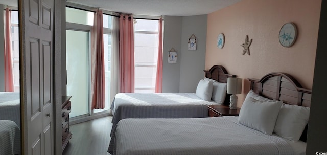 bedroom with expansive windows, a closet, and light hardwood / wood-style flooring