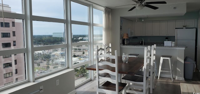 dining area featuring ceiling fan, plenty of natural light, and light hardwood / wood-style flooring