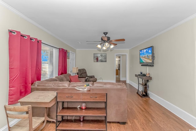 living room featuring ceiling fan, light hardwood / wood-style floors, and crown molding