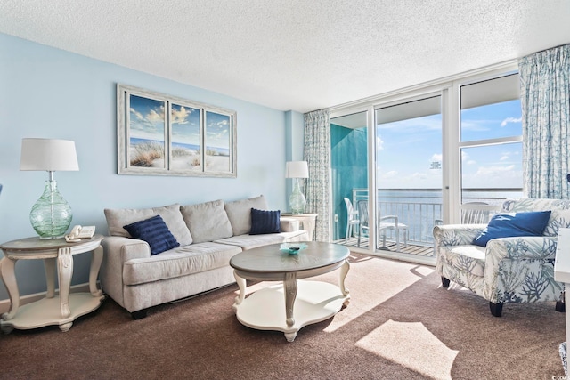 carpeted living room featuring a textured ceiling and floor to ceiling windows